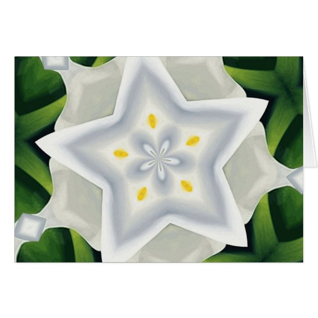 Sie sind ein Stern (Vorderseite (Horizontal))