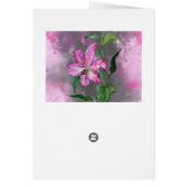 Sie sind eine Lila  rosa Lilie Blume (Hinten)