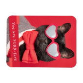 Sie sind eine Niedliche Katze mit PURR-Fect Magnet (Horizontal)