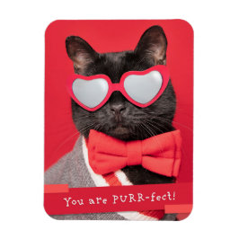 Sie sind eine Niedliche Katze mit PURR-Fect Magnet