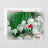 Sie sind eine Postkarte (Vorne/Hinten)