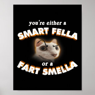Sie sind eine Smart Fella oder eine Furz Smella Me Poster