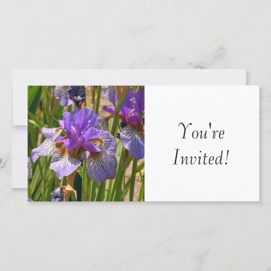 Sie sind eingeladen (Vorderseite)