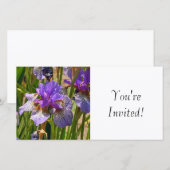 Sie sind eingeladen (Vorne/Hinten)