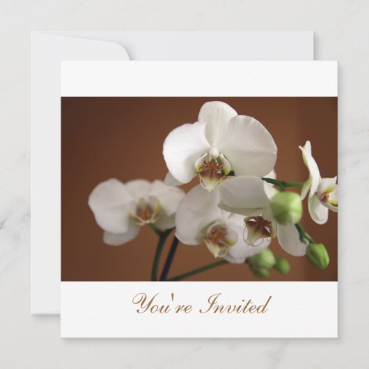 Sie sind eingeladen einladung (Vorderseite)