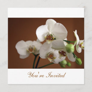 Sie sind eingeladen einladung