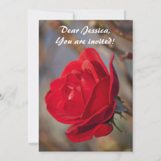 Sie sind eingeladen! Einladung