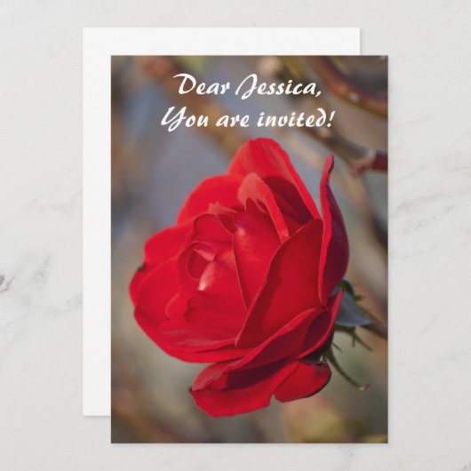 Sie sind eingeladen! Einladung (Vorne/Hinten)