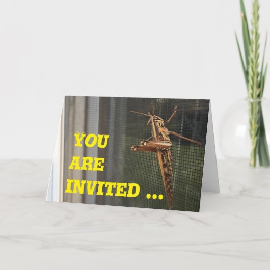 Sie sind eingeladen, sich zu unterhalten, Karte (Vorderseite)