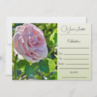Sie sind eingeladen - Single Rose