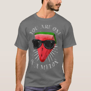 Sie sind eins in einem Melon Watermelon Slice mit T-Shirt