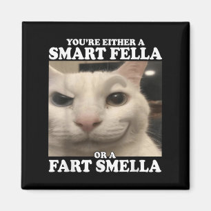 Sie sind entweder eine kluge Fella oder eine Furz  Magnet