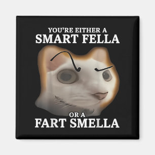 Sie sind entweder eine kluge Fella oder eine Furz Magnet