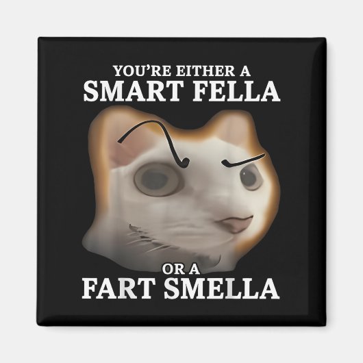 Sie sind entweder eine kluge Fella oder eine Furz Magnet (Vorne)