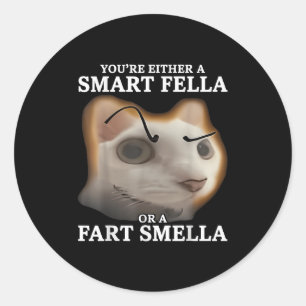 Sie sind entweder eine kluge Fella oder eine Furz Runder Aufkleber