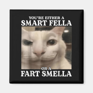 Sie sind entweder eine Smart Fella oder eine Furz  Magnet