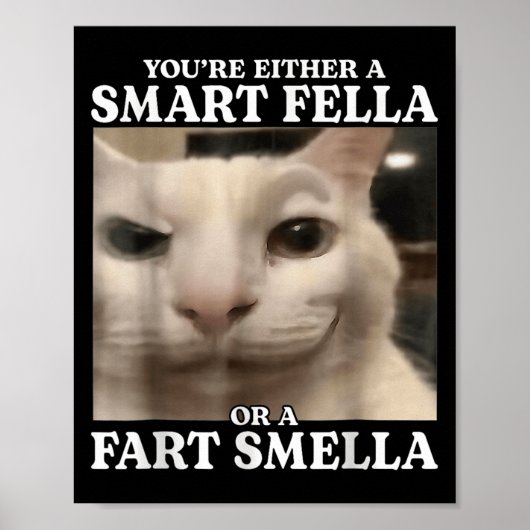 Sie sind entweder eine Smart Fella oder eine Furz Poster (Vorne)