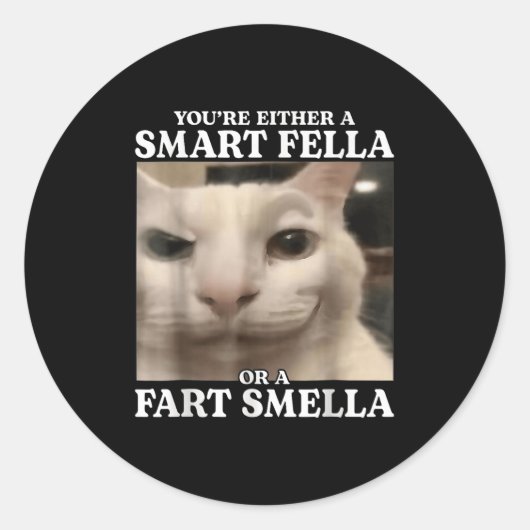 Sie sind entweder eine Smart Fella oder eine Furz Runder Aufkleber (Vorderseite)