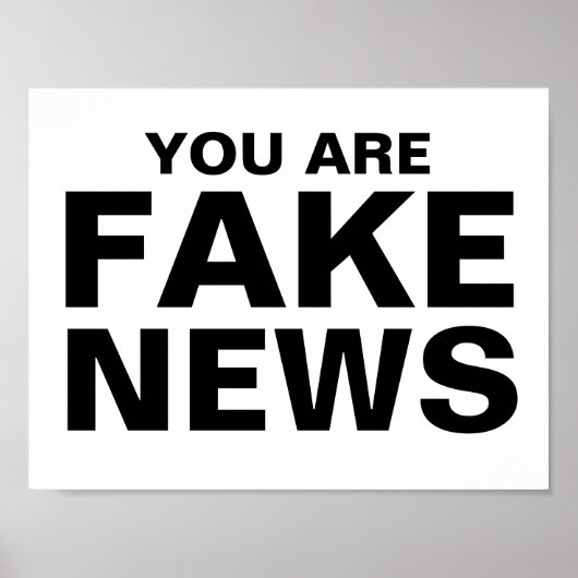 Sie sind Fake News Poster (Vorne)