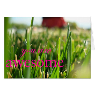 Sie sind fantastisch