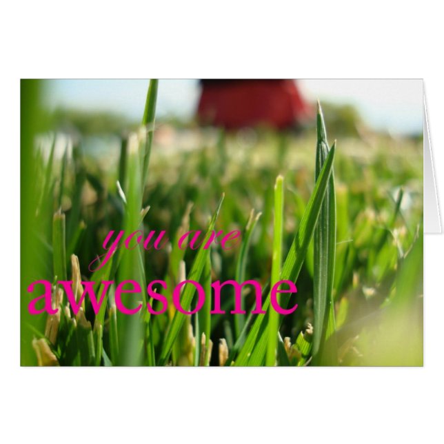 Sie sind fantastisch (Vorderseite (Horizontal))