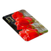 Sie sind fantastisch! Magnet rote Tulpe-Blumen (Rechte Seite)