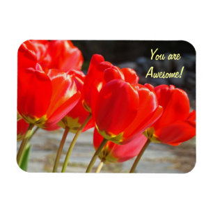 Sie sind fantastisch! Magnet rote Tulpe-Blumen
