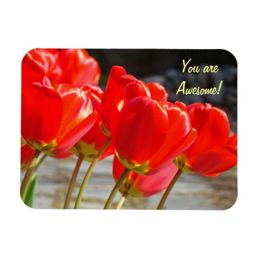Sie sind fantastisch! Magnet rote Tulpe-Blumen (Horizontal)