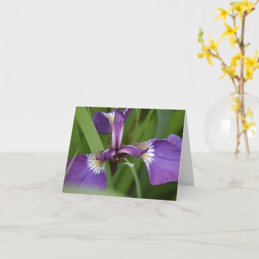 Sie sind heute lebendig grüßen karte (Gelbe Blume)