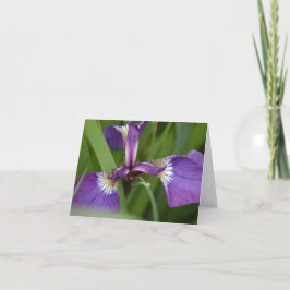 Sie sind heute lebendig grüßen karte