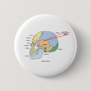 Sie sind hier (Hirn temporale Region anatomisch) Button
