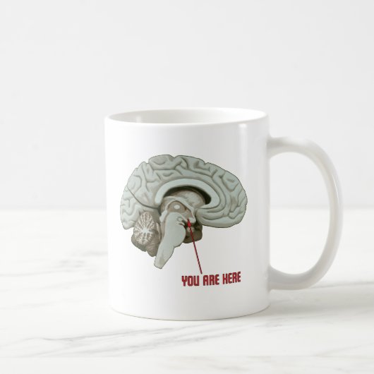 Sie sind hier kaffeetasse (Rechts)