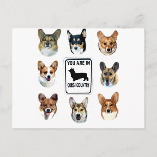 Sie sind im Corgi-Land Postkarte