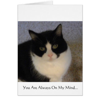 Sie sind immer auf meinem Verstand