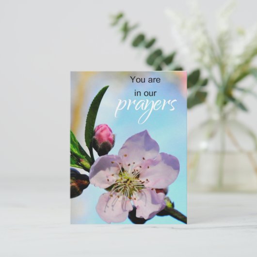 Sie sind in unserer Gemeinde der Gebetskirche Postkarte (Stehend Vorderseite)