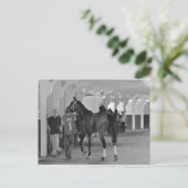 Sie sind Killin Me von Adios Charlie Postkarte (Stehend Vorderseite)