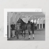 Sie sind Killin Me von Adios Charlie Postkarte (Vorne/Hinten)