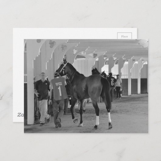 Sie sind Killin Me von Adios Charlie Postkarte (Vorne/Hinten)