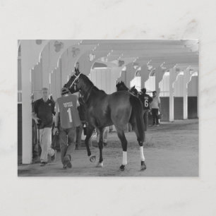 Sie sind Killin Me von Adios Charlie Postkarte