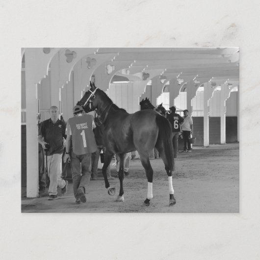 Sie sind Killin Me von Adios Charlie Postkarte (Vorderseite)