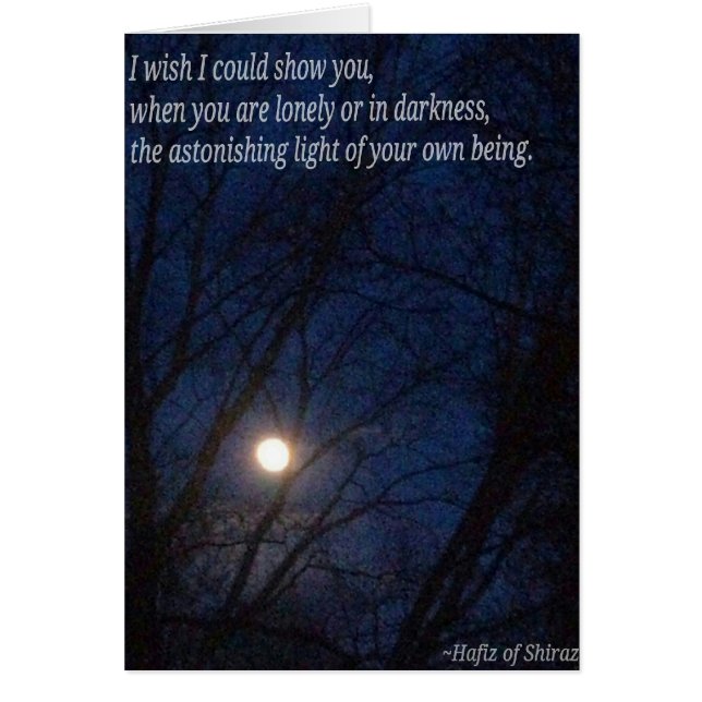 Sie sind leuchtend (Vorne)