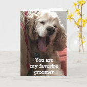 SIE SIND MEIN BELIEBTER *GROOMER** GEBURTSTAG KARTE (Gelbe Blume)