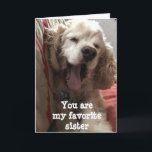 SIE SIND MEIN BELIEBTER ***SISTER*** GEBURTSTAG KARTE<br><div class="desc">MEIN KLEINER "DAKOTA" IST SO BEREIT ZU SAGEN "GLÜCKLICHER GEBURTSTAG" FÜR SIE,  DA SIE ES NICHT IN PERSON MACHEN KÖNNEN!! HOFFEN SIE DIESE KARTE UND DANKE IHNEN SO VIEL,  DASS SIE VON EINER MEINER ACHT GESCHICHTEN GESCHAFFEN HABEN!</div>