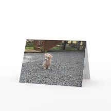 Sie sind nicht alleingruß-Karte