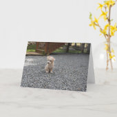 Sie sind nicht alleingruß-Karte Karte (Gelbe Blume)