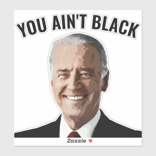 SIE SIND NICHT SCHWARZ JOE BIDEN AUTO DECAL STICKE AUFKLEBER (Blatt)