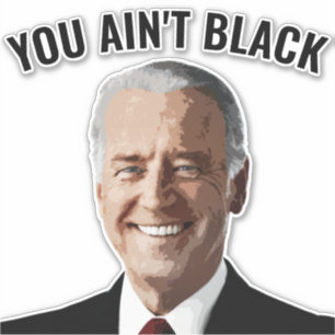 SIE SIND NICHT SCHWARZ JOE BIDEN AUTO DECAL STICKE AUFKLEBER