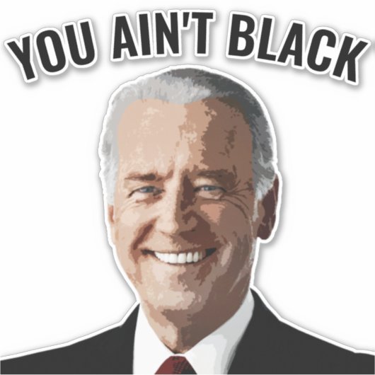 SIE SIND NICHT SCHWARZ JOE BIDEN AUTO DECAL STICKE AUFKLEBER (Vorderseite)