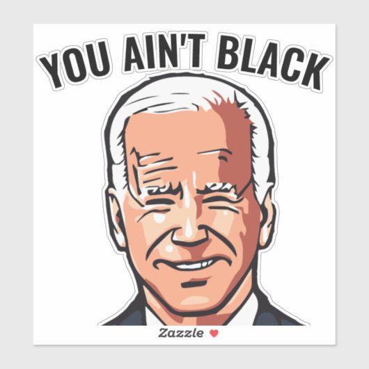 SIE SIND NICHT SCHWARZ JOE BIDEN DIE DECAL STICKER (Blatt)