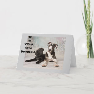 SIE SIND OFFIZIELL TEENAGER **13. GEBURTSTAG** KARTE